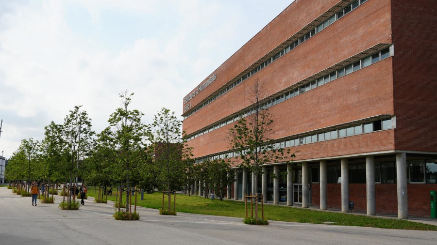 UforestWeb-1
